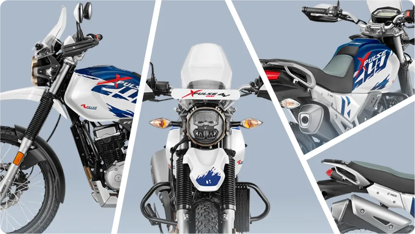 detalles xpulse.webp